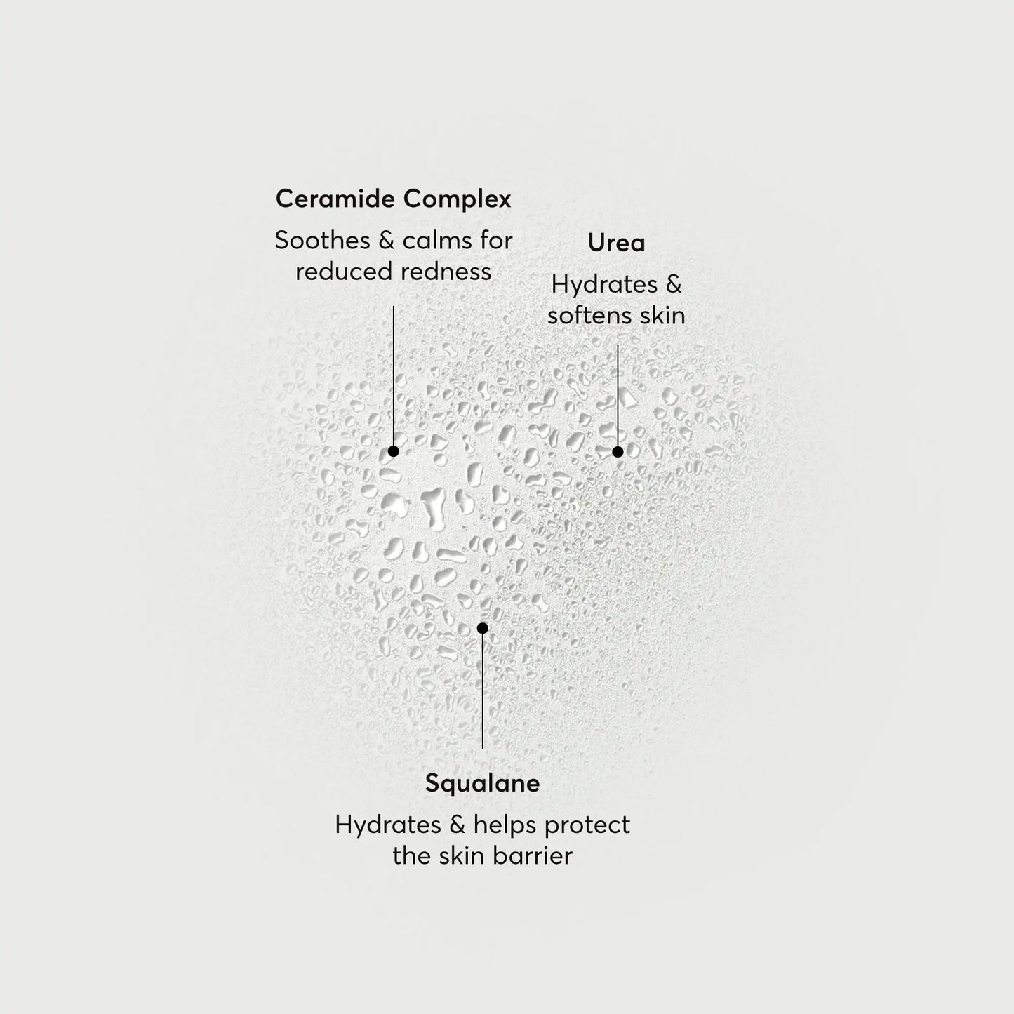 barrier-bounce-bi-phase-mist-a7 NATR-10167-Alt-Images-Barrier-Bounce-Bi-Phase-Toner-Mist_01.webp