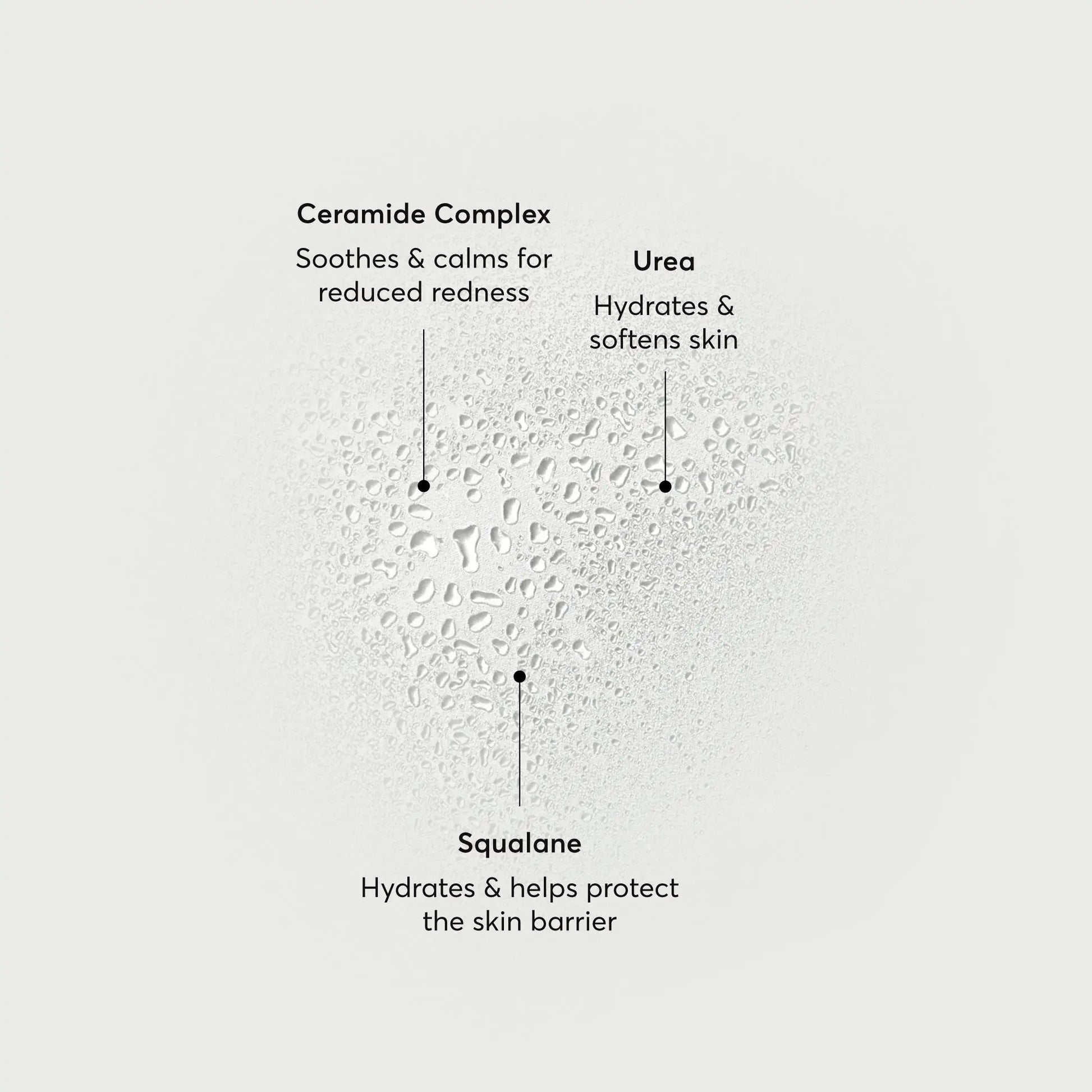 barrier-bounce-bi-phase-mist-a7 NATR-10167-Alt-Images-Barrier-Bounce-Bi-Phase-Toner-Mist_01.webp